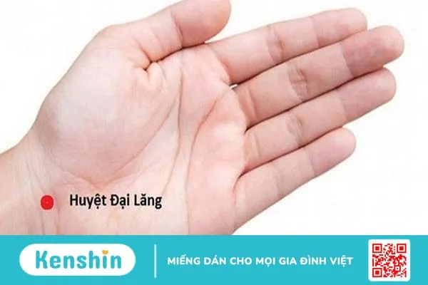 Vị trí của huyệt Đại Lăng ở đâu trên cơ thể?