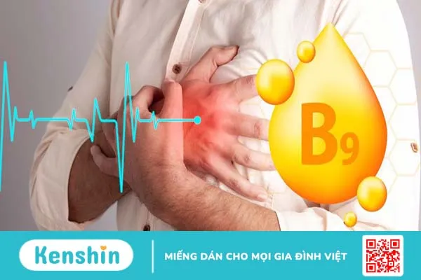 Vitamin B9 trong trị bệnh tim: Những lợi ích nhiều người chưa biết