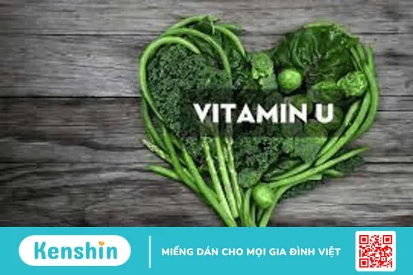 Vitamin U và những điều cần biết