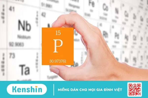 Xét nghiệm định lượng Phospho cho biết điều gì?