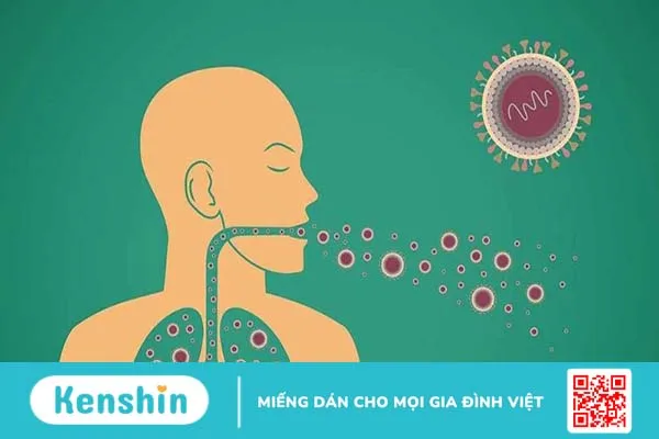 Xét nghiệm IDR là gì?